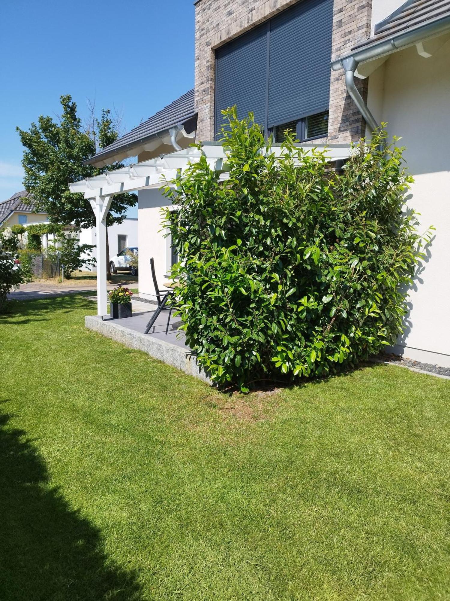 Fewo Treichel Koserow Buitenkant foto